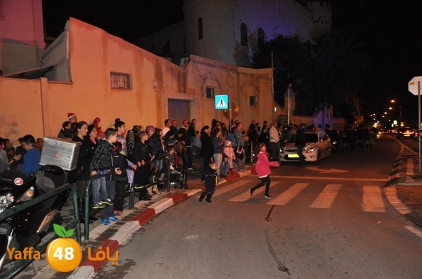 tree light 1208 (47).JPG